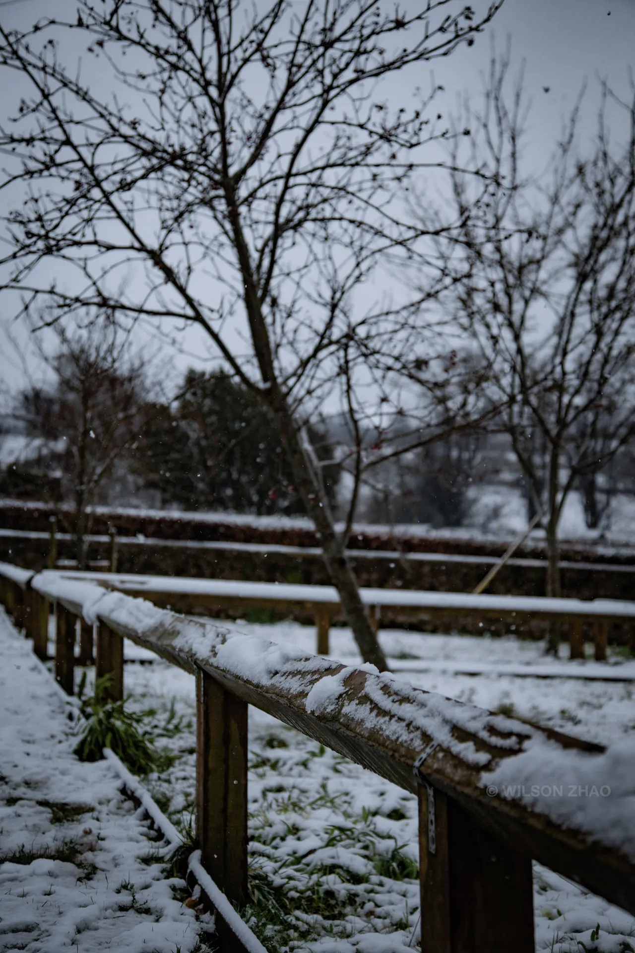 A wooden fence runs through snow-covered ground beneath bare winter trees.