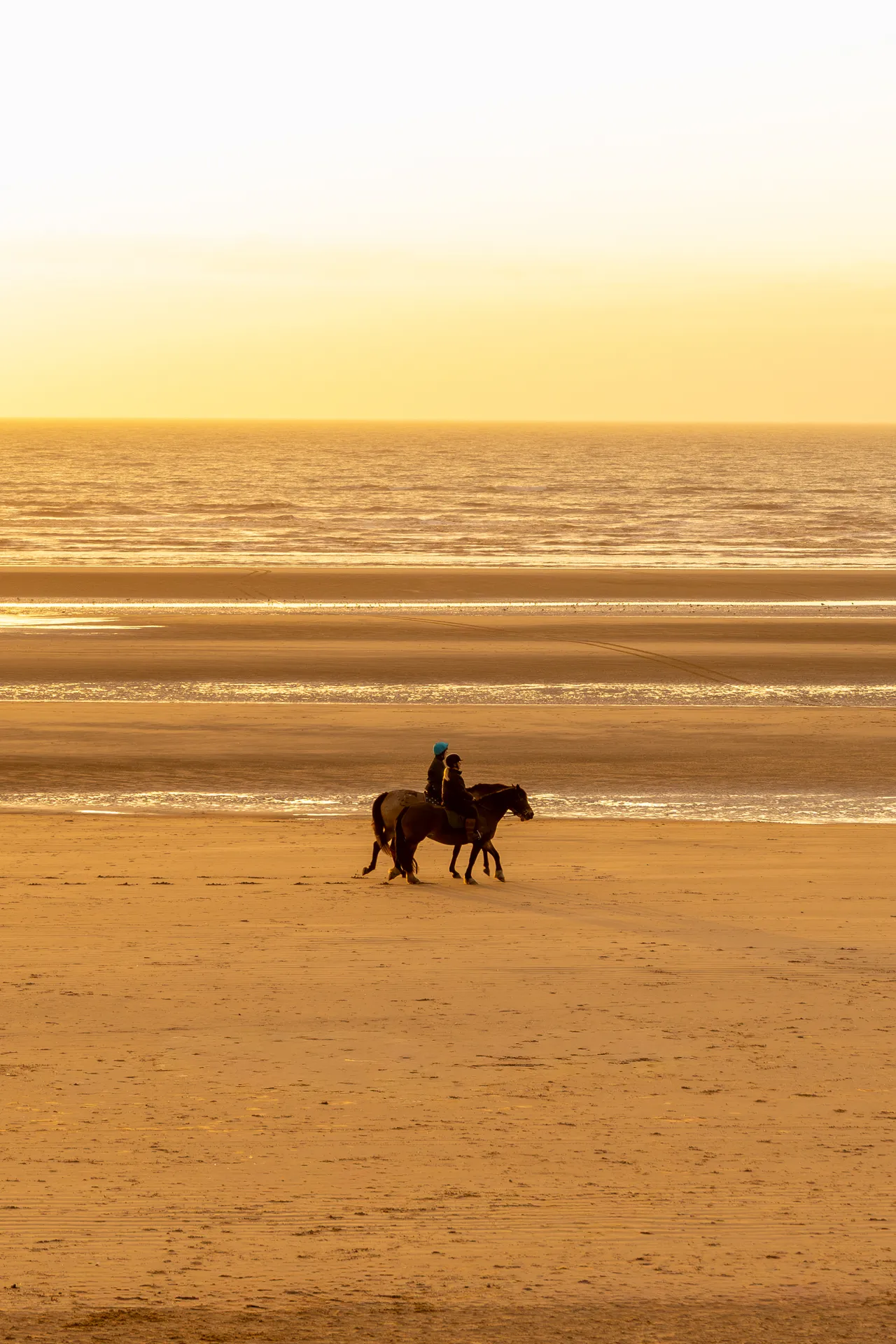 Two Horses walking along the beach and sunset