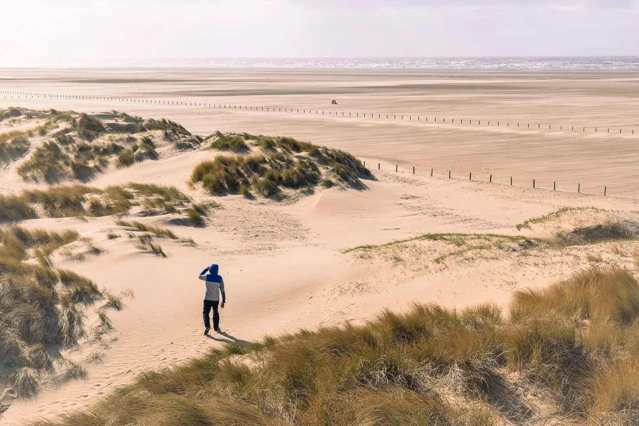 Desert Ocean