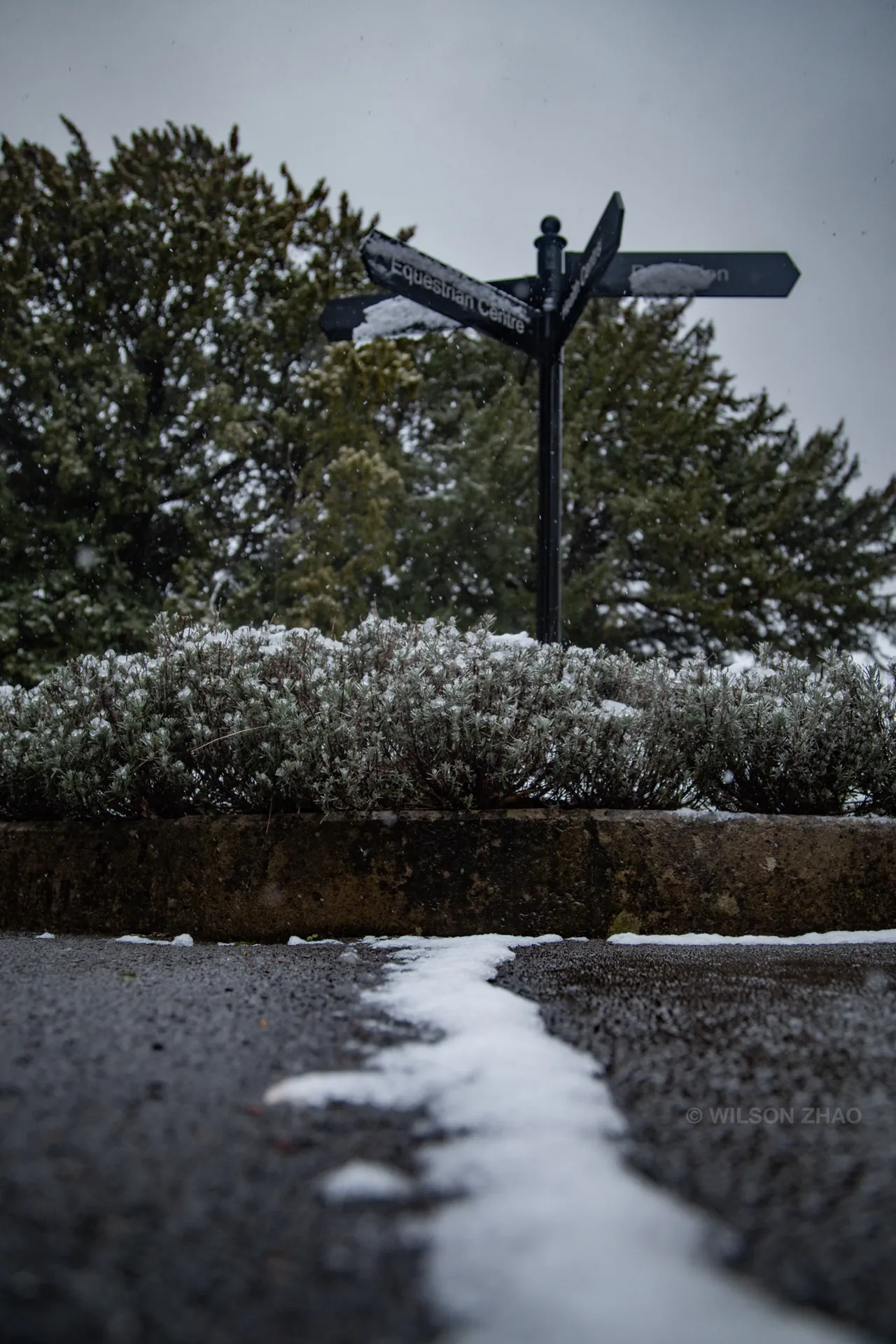 A black fingerpost sign above a frosted hedge, a thin line of snow tracing the edge of the road.